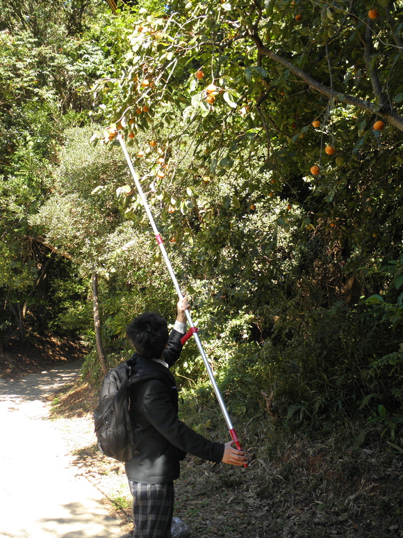 f0201157_636229.jpg
