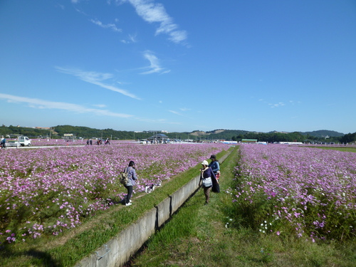 b0137459_2132161.jpg
