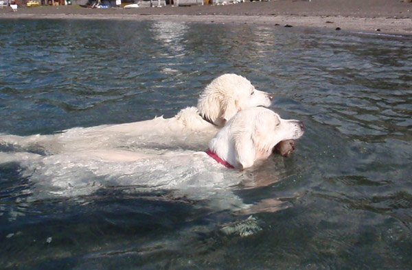 c0110361_1532747.jpg