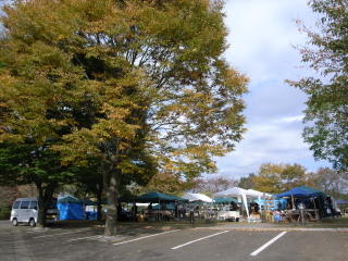 d0087761_0353233.jpg