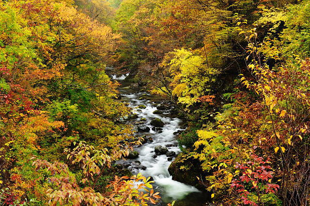 f0222161_9373747.jpg