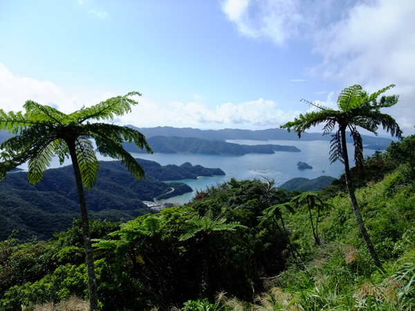 b0062363_21571326.jpg
