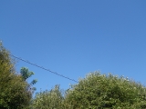 f0055264_19353560.jpg