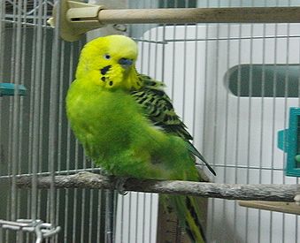 f0196665_23461910.jpg