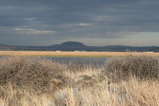c0115366_12254666.jpg