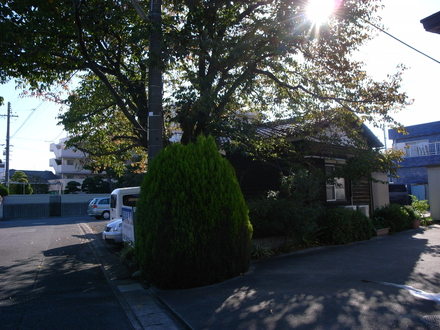 d0179066_11182686.jpg