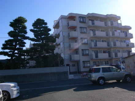 d0179066_11192397.jpg