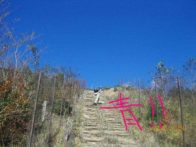 c0145582_1085727.jpg