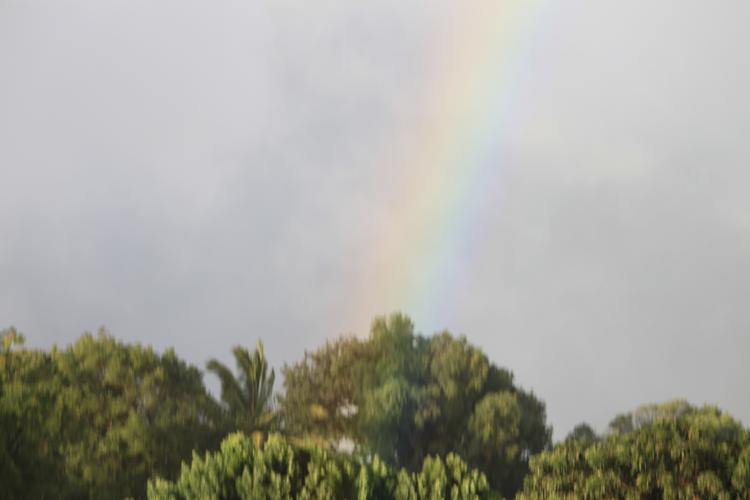 f0138588_12581655.jpg