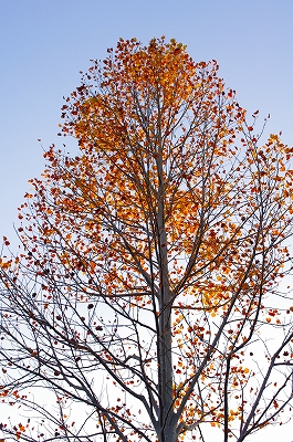 c0207890_193842.jpg