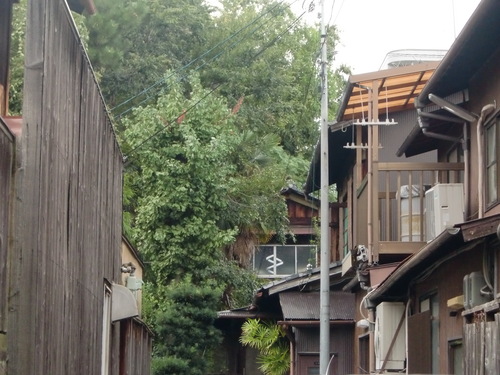 f0211892_15244992.jpg