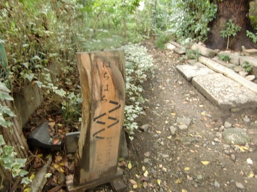 f0211892_1534115.jpg