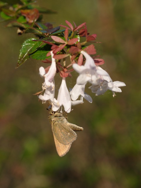 b0194593_20303025.jpg