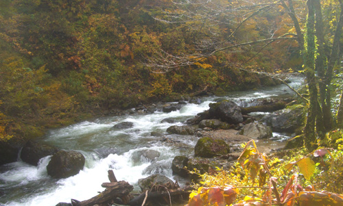 b0099994_17295163.jpg