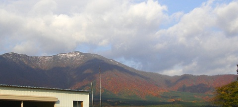 a0138198_11115047.jpg