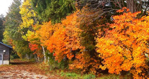 a0138198_11142561.jpg