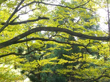 a0138198_11324765.jpg