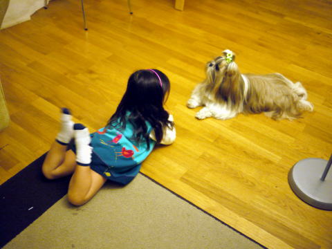 c0090198_6132417.jpg