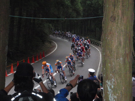 c0126801_333973.jpg