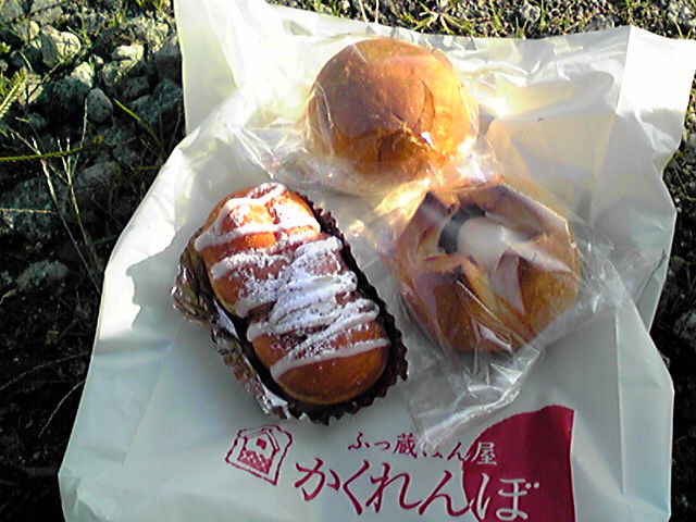 f0079202_1503859.jpg