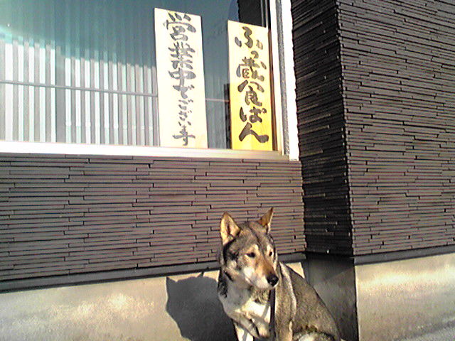 f0079202_1503871.jpg