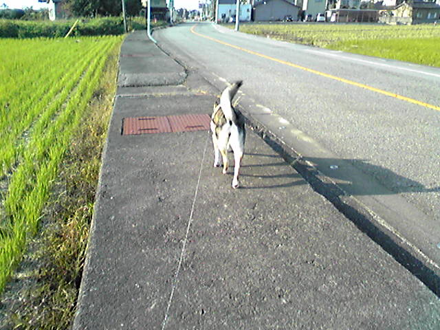 f0079202_1503879.jpg