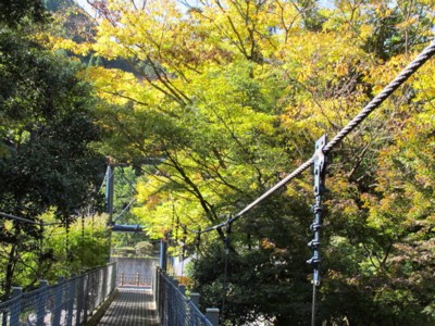 c0036203_16575396.jpg