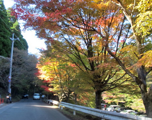 c0036203_17102781.jpg