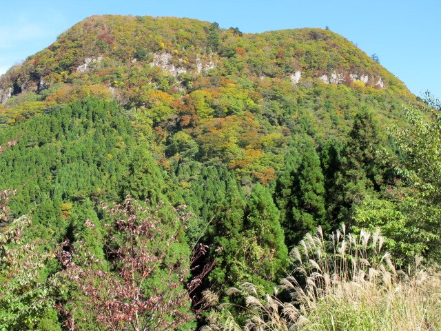 c0036203_1722170.jpg