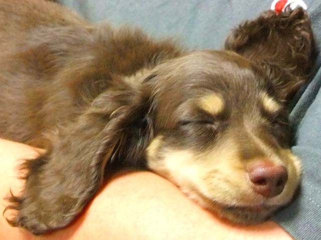 c0228404_2465848.jpg