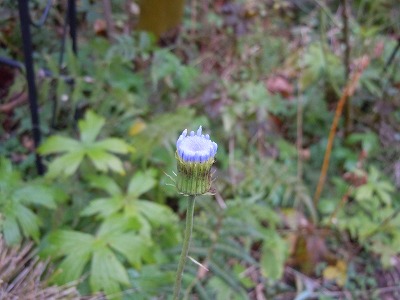 c0117007_21365363.jpg