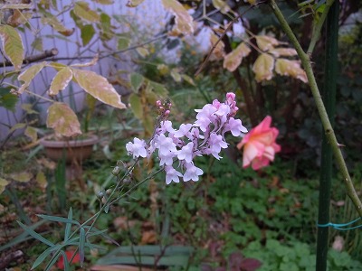 c0117007_21373330.jpg