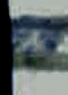 e0103408_1411872.gif