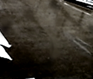 e0103408_1551396.gif