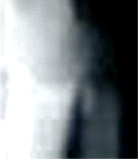 e0103408_158768.gif