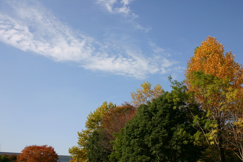a0159009_1945528.jpg