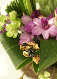 e0136609_17272346.gif