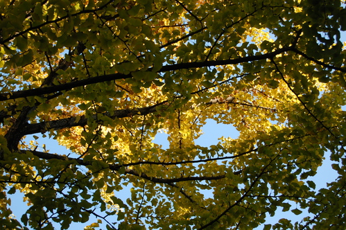 e0214513_9334391.jpg