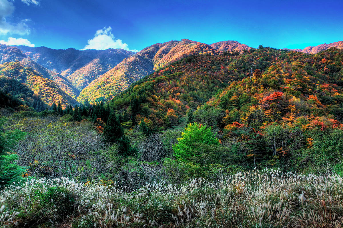 c0115616_2341244.jpg