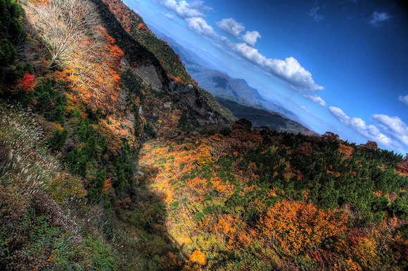 c0115616_23413238.jpg
