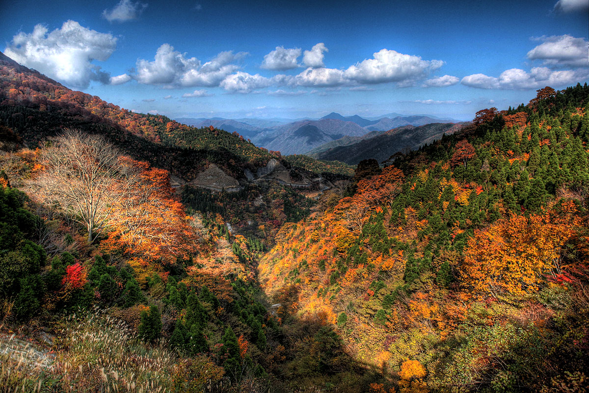 c0115616_23413973.jpg