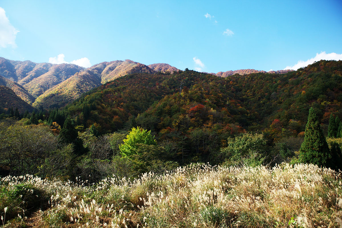 c0115616_23422336.jpg