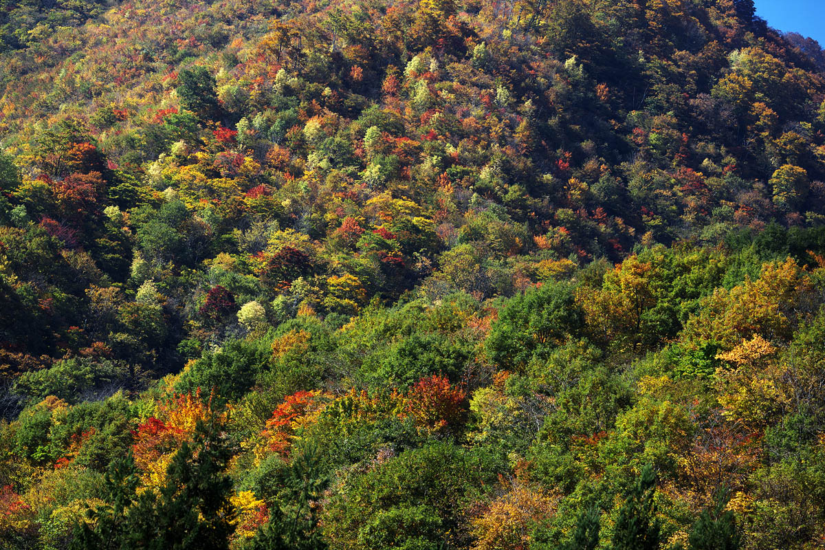 c0115616_23424313.jpg