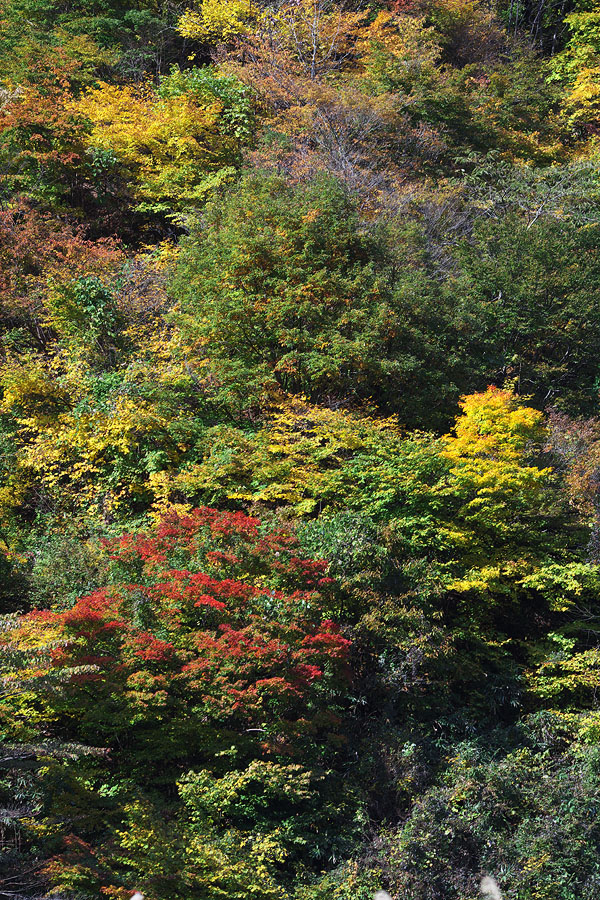 c0115616_2342463.jpg