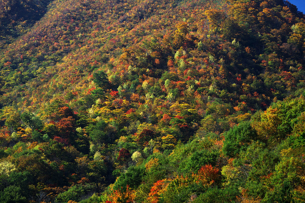 c0115616_23425199.jpg