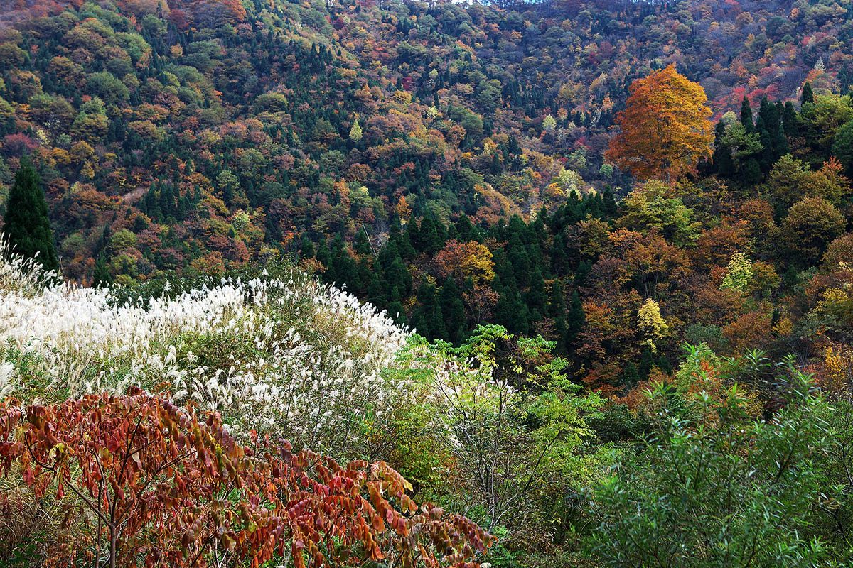 c0115616_23431271.jpg