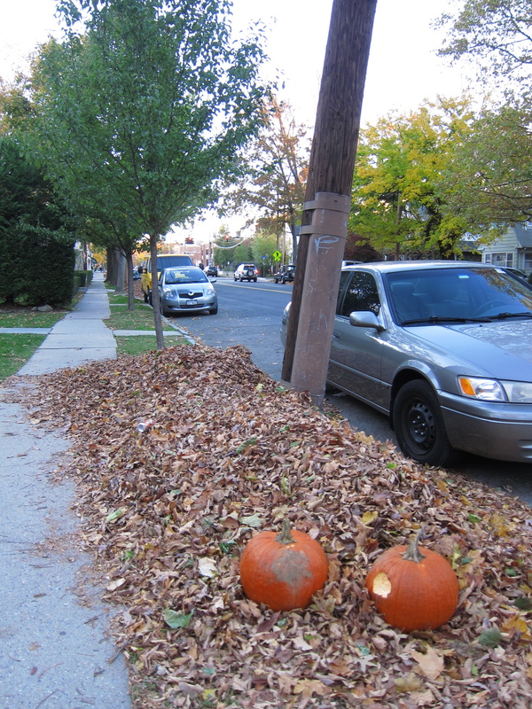 c0120817_736769.jpg