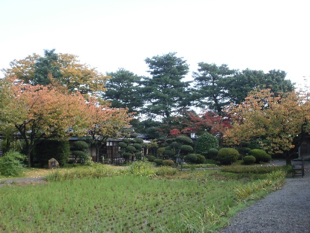 e0135219_10324794.jpg