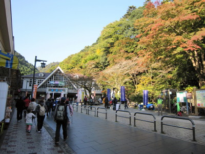 f0000425_20135325.jpg
