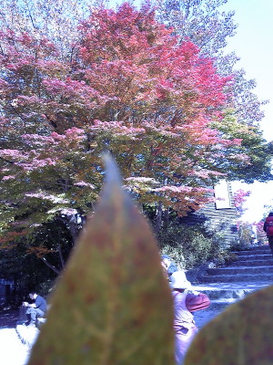 f0000425_20143027.jpg